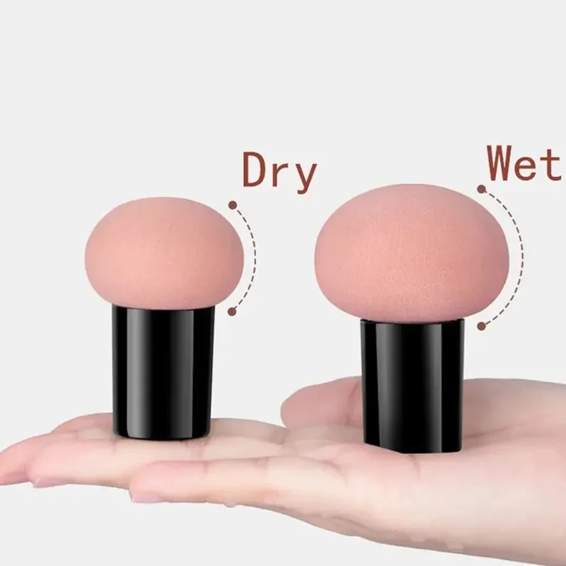Spugna per trucco con testa di - Beauty Makeup Tools Use recensione e prezzo